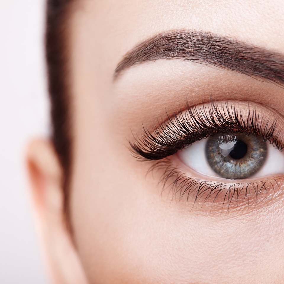 Female Eye with Extreme Long False Eyelashes. Eyelash Extensions. Makeup, Cosmetics, Beauty. Close up, Macro