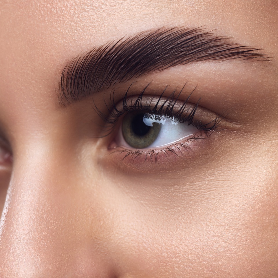 Close-up of a woman's eyes with well-defined eyebrows, full lashes, and smooth skin, highlighting meticulous grooming. Concept of beauty, eyebrow shaping kit, grooming and natural brow look.