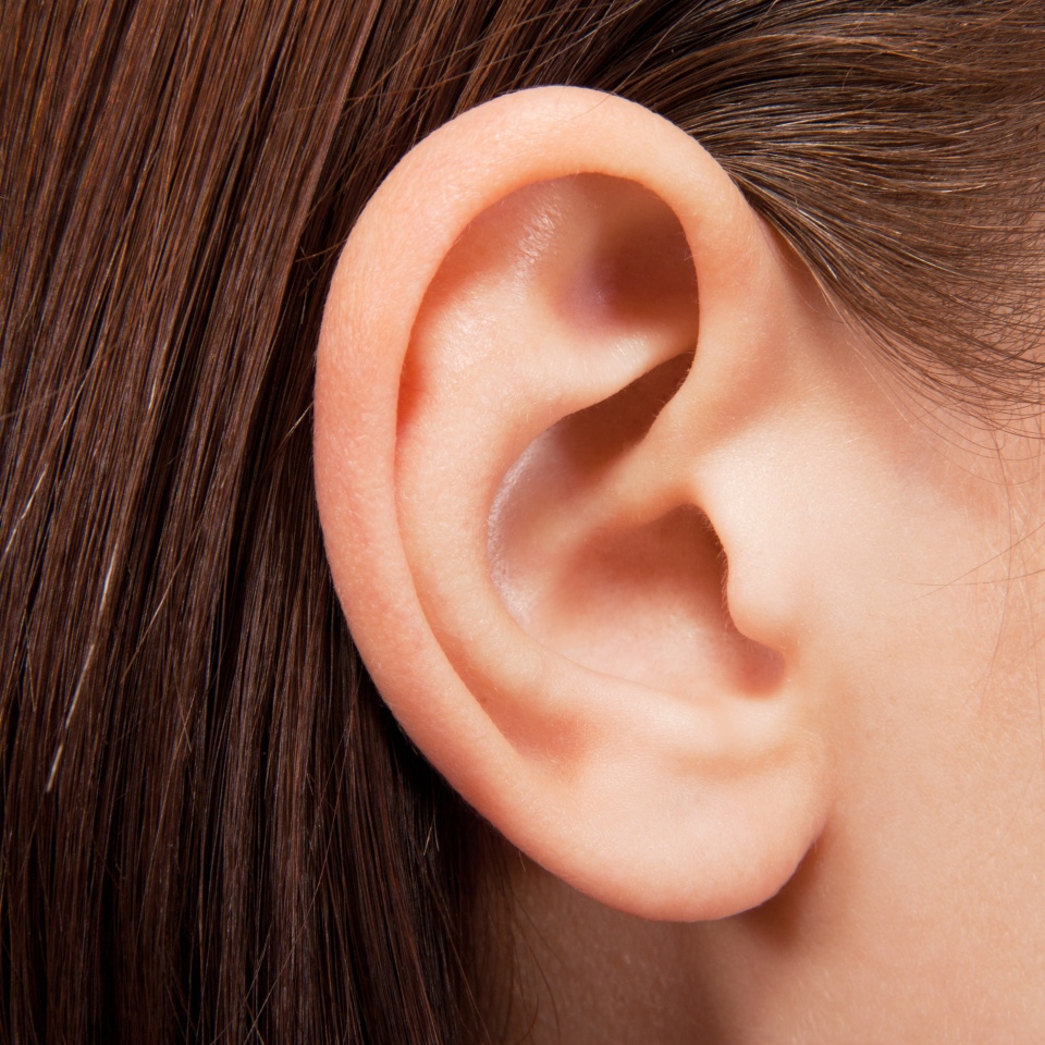 Human ear closeup